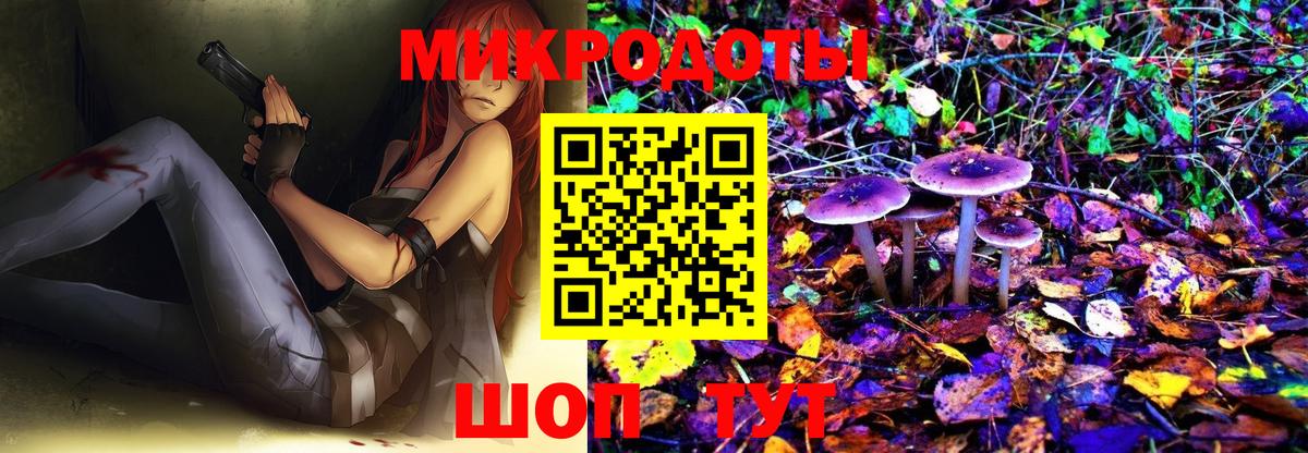 Сызрань  Галлюциногенные грибы MAGIC MUSHROOMS  наркота  Вход с VPN 